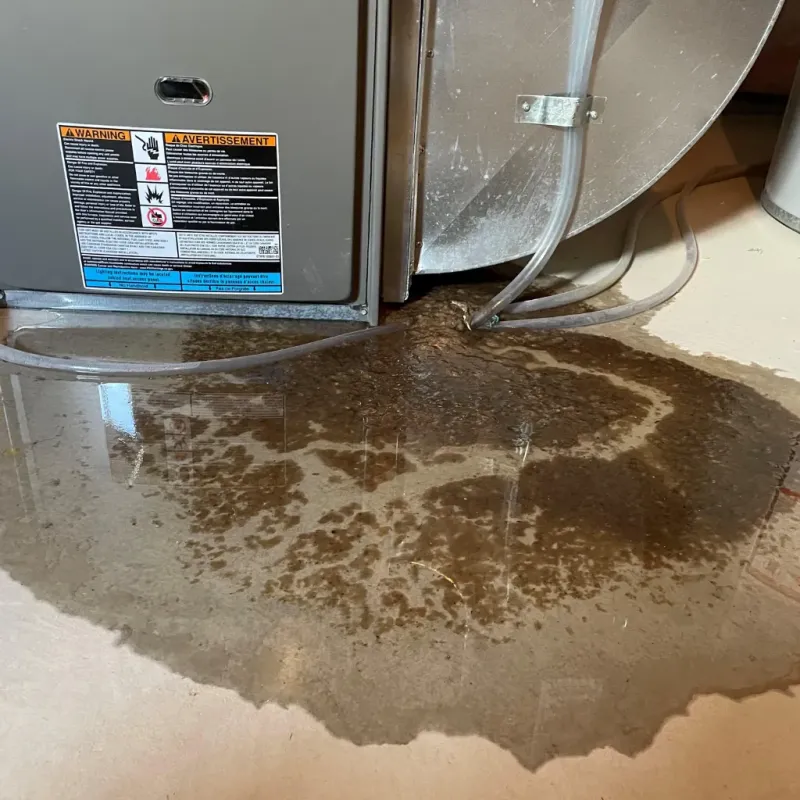 Appliance Leak Cleanup in Demopolis, AL